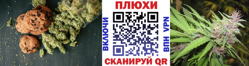 Купить  Гвардейск  Canna-Cookies конопля 