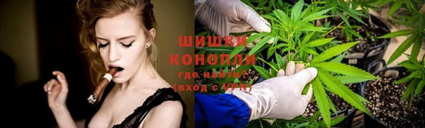 соль ск Заводоуковск