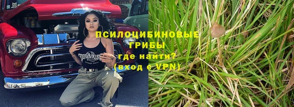 соль ск Заводоуковск