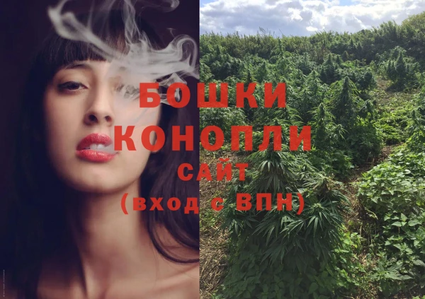 соль ск Заводоуковск