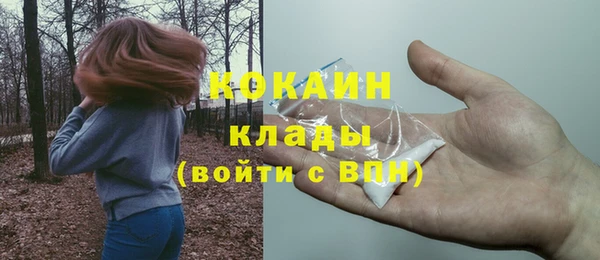 соль ск Заводоуковск