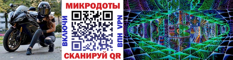 Псилоцибиновые грибы MAGIC MUSHROOMS  Купить закладки  Гвардейск 